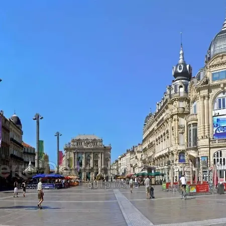 Apartment Magnifique Appt Centre Ecusson